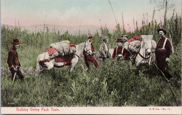 Bulkley Valley Pack Train BC British Columbia Men White Horses Postcard 