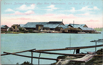 Ewen's Salmon Cannery New Westminster BC British Columbia Fraser River Unused A.L. Merrill Postcard 