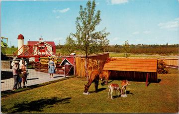 Storyland Valley Edmonton AB Young Elk & English Spotted Deer Children's Zoo Unused Vintage Postcard 