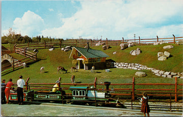 Storyland Valley Edmonton AB Goats Above Railway Tunnel Miniature Train Children's Zoo Unused Vintage Postcard 