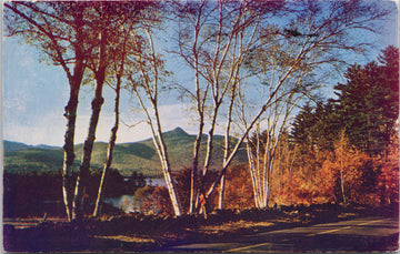 Chocorua Lake and Mountain Chocorua NH New Hampshire 1950s Vintage Postcard 