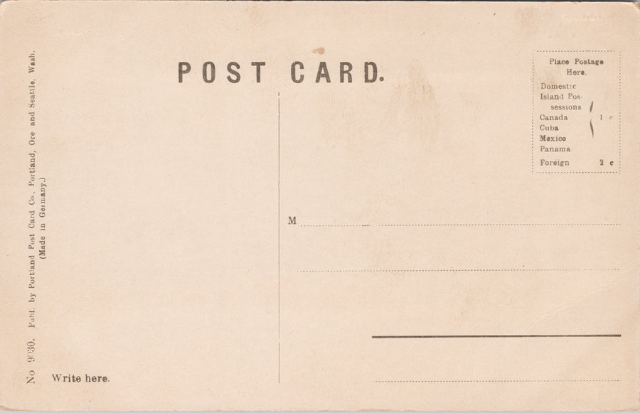 Dawson Yukon Front Street YT Unused Portland Post Card Co #9030 Postcard SP10