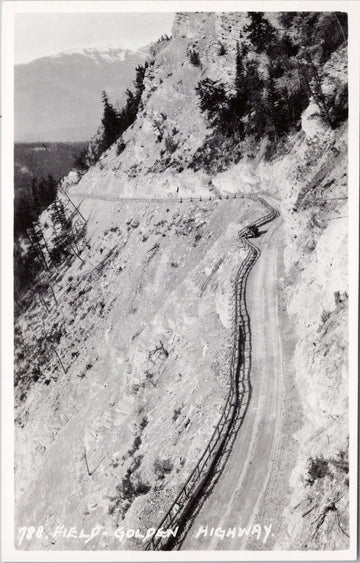 Byron Harmon #788 Field Golden Highway BC Unused Real Photo Postcard 