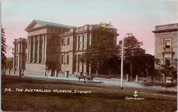 The Australian Museum Sydney Australia Postcard 