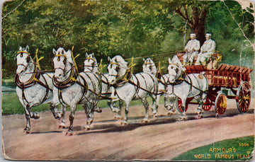 Mr Odgen Armour's World Famous Team White Horses Postcard 
