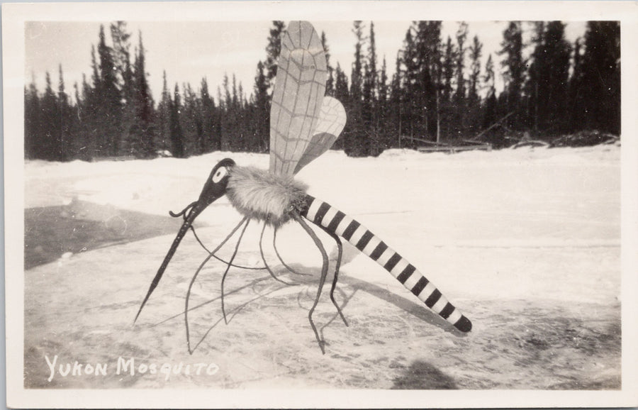 Yukon Mosquito YT Exaggerated Humour Bug Insect Postcard