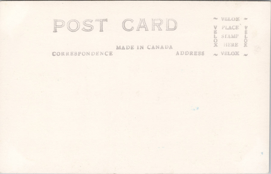 Yukon Mosquito YT Exaggerated Humour Bug Insect Unused RPPC Postcard SP10