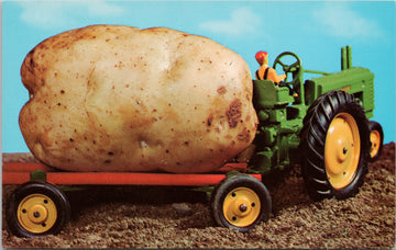 Potatoe How We Grow Em on Prince Edward Island Farmer Tractor Postcard 