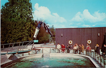 Splasher the Porpoise Vancouver Aquarium Stanley Park BC Postcard