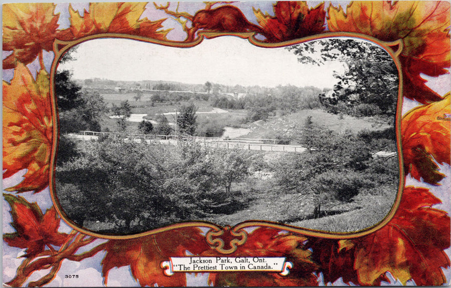 Jackson Park Galt Ontario Prettiest Twon in Canada Patriotic Postcard