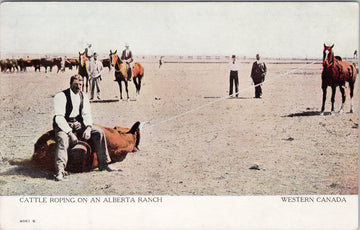 Cattle Roping on Alberta Ranch AB Ranchers Cowboys Western Canada Postcard