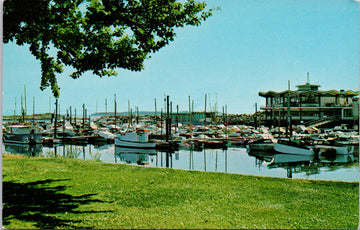 Oak Bay Marina Victoria BC Postcard 