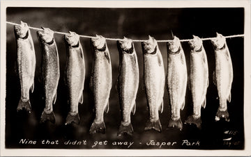 Jasper Alberta Caught Fish Nine That Didn't Get Away Taylor RPPC Postcard 