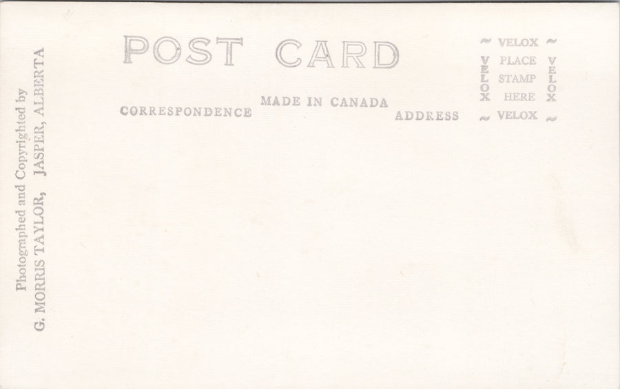 Jasper Alberta Caught Fish Nine That Didn't Get Away Taylor RPPC Postcard SP11