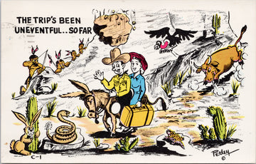 The Trip's Been Uneventful So Far Man Woman Donkey Cowboy Comic American West Southwest 1960s Postcard 