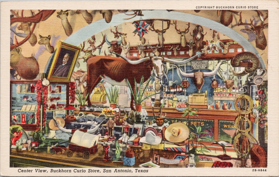 San Antonio Texas Buckhorn Curio Store was Saloon TX Unused Linen Postcard 