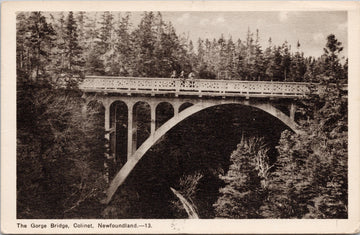 The Gorge Bridge Colinet Newfoundland Postcard 