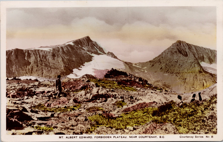 Mt Albert Edward Forbidden Plateau near Courtenay BC Real Photo Postcard 