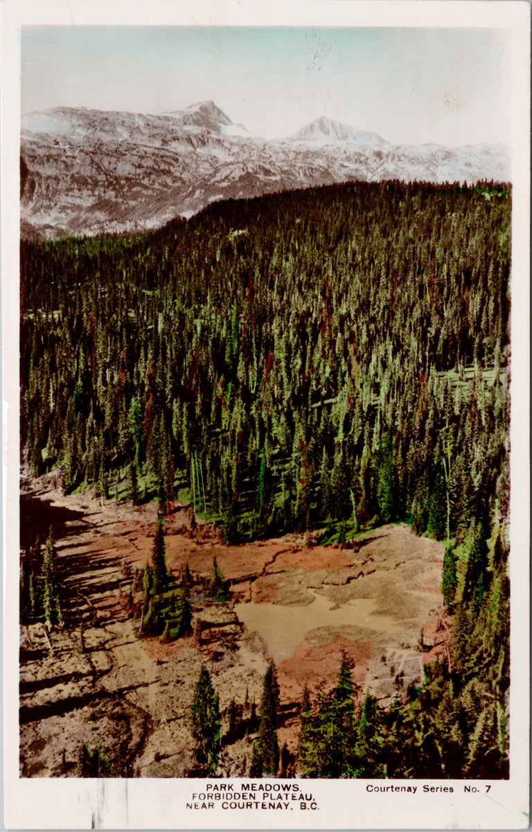 Park Meadows Forbidden Plateau near Courtenay BC J Spalding RPPC Postcard