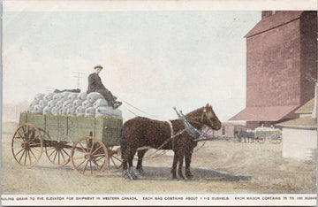 Western Canada Hauling Grain To Elevator Farmer Farming Wagon Grain Elevator Free Farms Canadian Immigration Advertising Postcard 