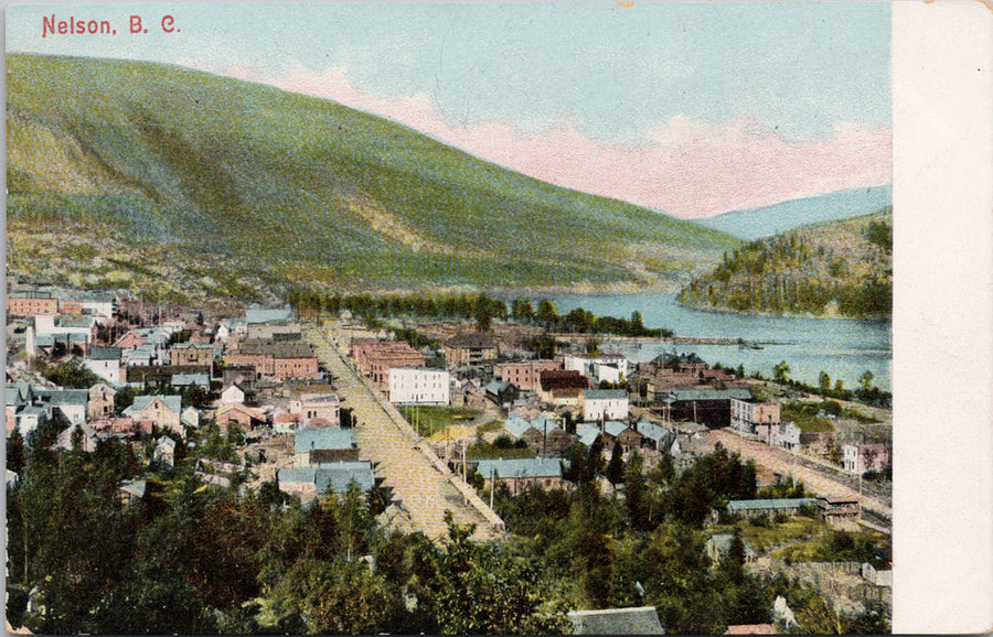 Nelson BC British Columbia Birdseye Unused Postcard