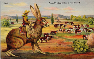 Texas Cowboy Riding Jack Rabbit TX Exaggerated Unused Linen Postcard