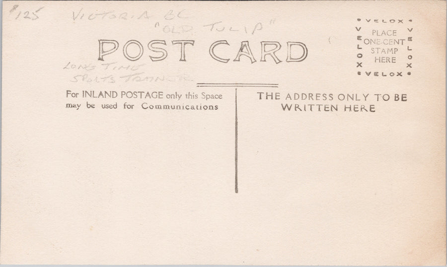 Bob Foster Victoria BC Sports Trainer 'Old Tulip' Vancouver Island Unused Scarce RPPC Postcard SP12