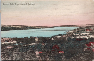 Cayuga Lake from Cornell Heights NY New York c1908 Rotograph Postcard
