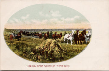 Reaping Great Canadian North-West Agriculture Farming Canada Postcard 