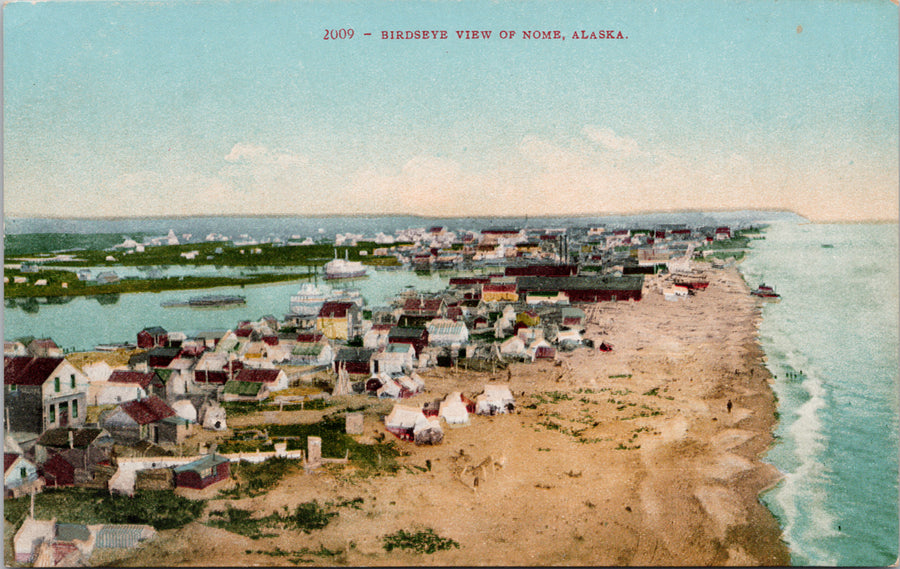 Nome Alaska Birdseye AK Edward Mitchell Postcard