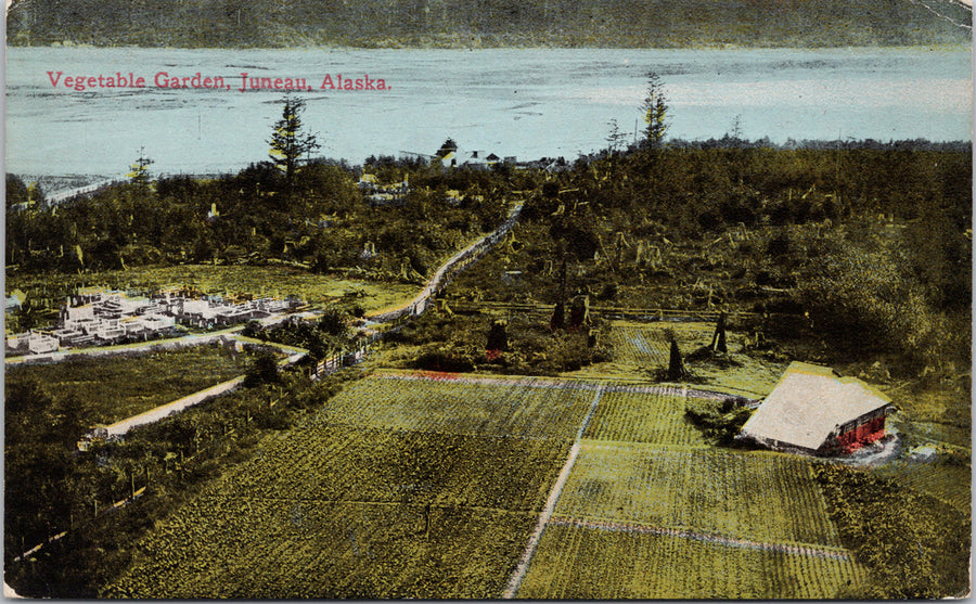 Vegetable Garden Juneau Alaska Birdseye AK Lowman Hanford Postcard