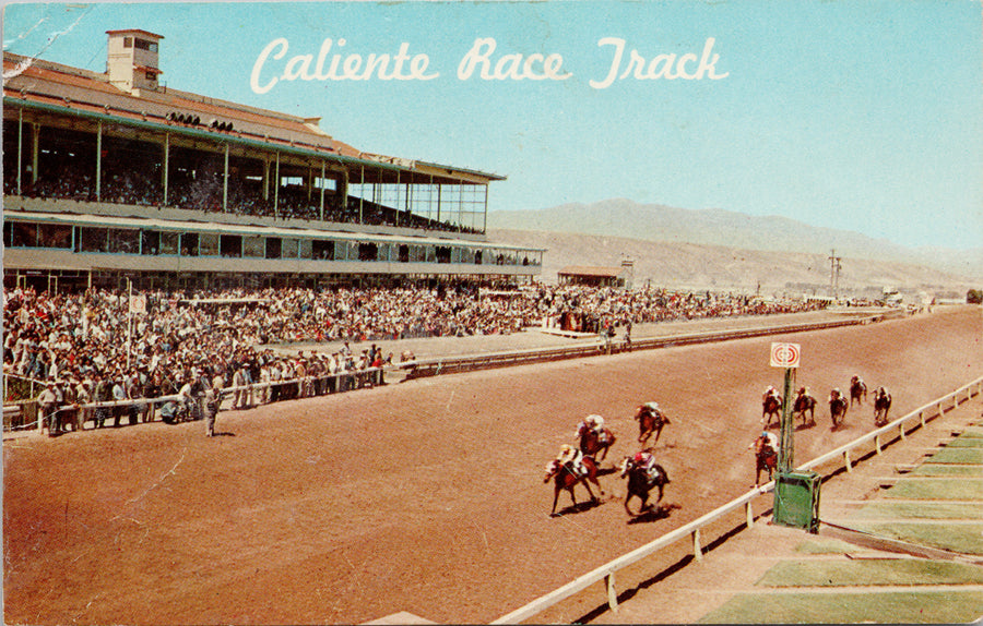 Caliente Race Track Tijuana Mexico Horse Racing Postcard