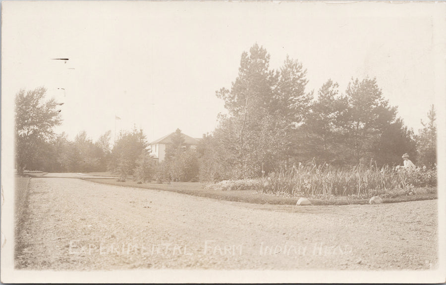 Indian Head Saskatchewan Experimental Farm SK Sask Unused Real Photo Postcard