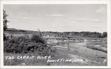 Carrot River Kinistino Saskatchewan SK Cattle 4 Cents Due RPPC Postcard 
