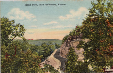 Scenic Drive Lake Taneycomo MO Missouri Road Vintage Linen Postcard