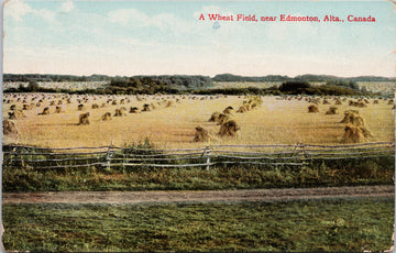 Wheat Field near Edmonton Alberta AB c1917 Postcard