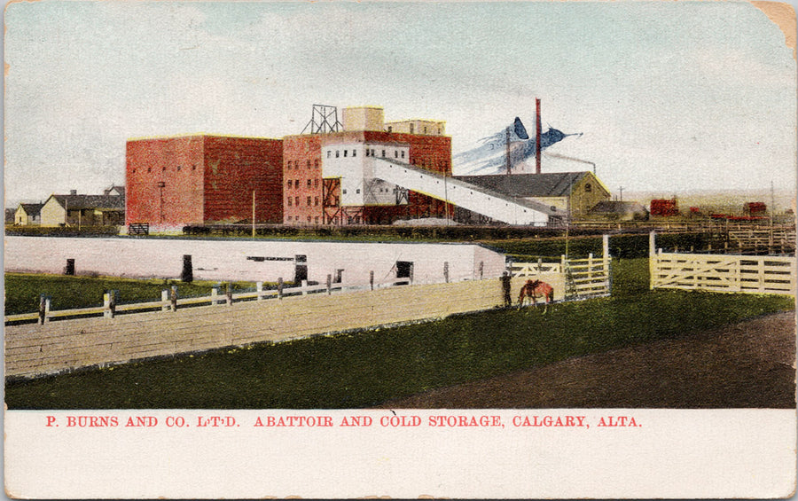 Burns & Co Abattoir Cold Storage Calgary Alberta AB Royal Curio News Postcard