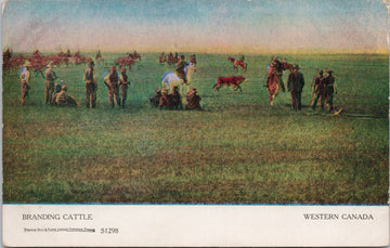 Branding Cattle Western Canada Cowboys Ranching Cows Unused Postcard