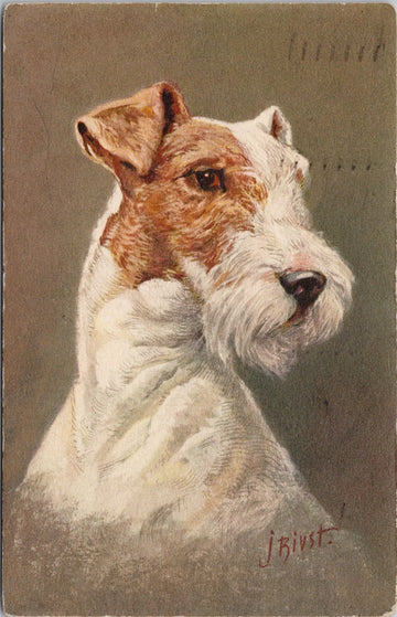 Dog Portrait Fox Terrier No. 99 J. Rivst Artist c1940 Postcard 