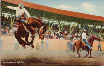 Rodeo Cowboy Ed Scholtz on Bob Cat Unused Doubleday Linen Postcard 