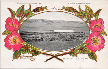 Medicine Hat Alberta Ranch Scene Wild Rose Patriotic Wild Flower Series Postcard 