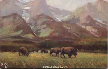Buffalo near Banff Alberta AB Canadian National Railway series A TUCK Postcard 