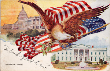 USA Patriotic Eagle American Flag White House Capitol Embossed #5007-1 P. Sander Illustrated Postcard
