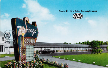 Flamingo Motel Erie PA State Route #5 Flamingo Court Vintage Postcard SP13
