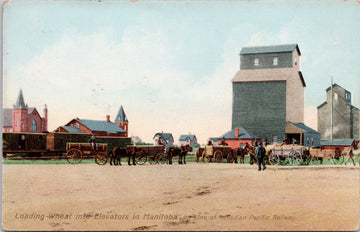 Loading Wheat into Elevators Manitoba MB Farming Farmers Grain Elevator Farm Life Agriculture c1909 Stedman Postcard 