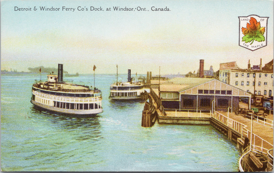 Windsor Ontario Detroit & Windsor Ferry Co Dock ON Steamers Unused Postcard 