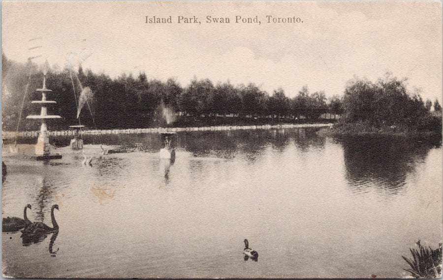 Toronto Ontario Island Park Swan Pond ON c1908 Macfarlane Postcard